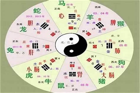 立字五行|立的五行属性是什么